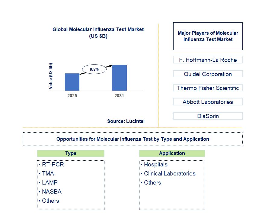 Molecular Influenza Test Market Trends and Forecast